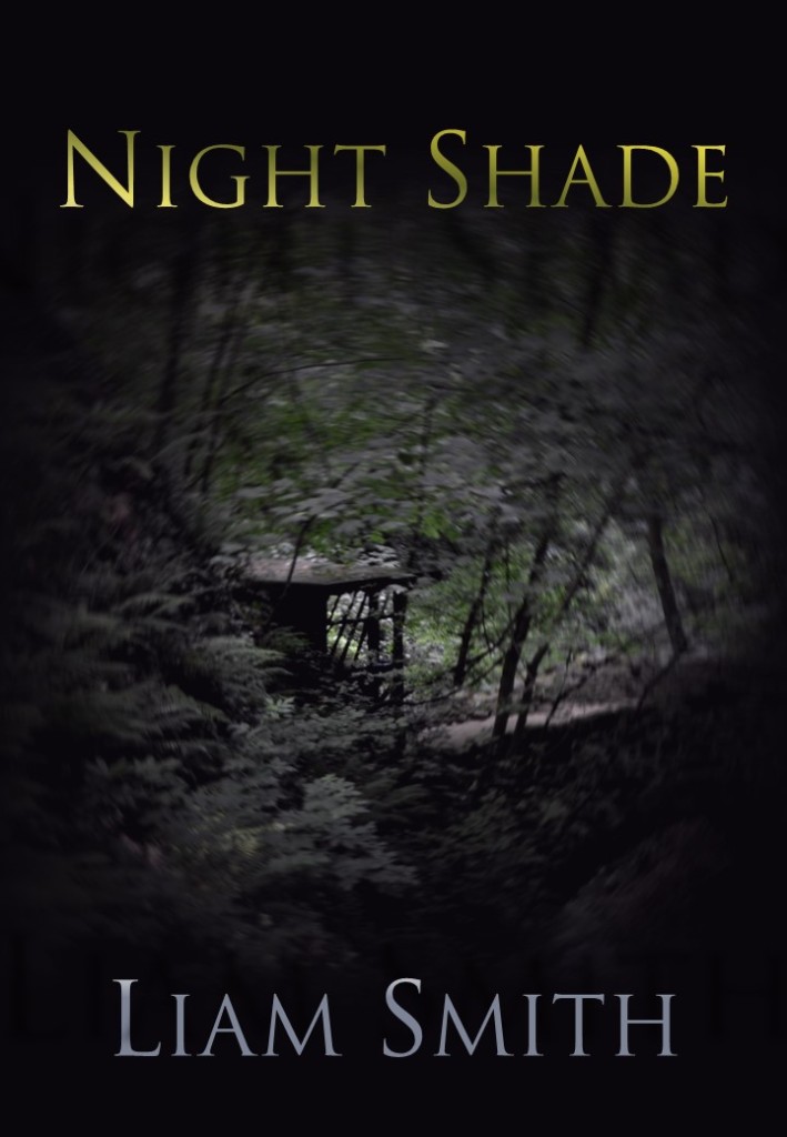 Night Shade: A Short Story - Liam Smith's Blog